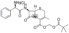 Pivcephalexin