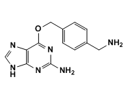 6-(4-(aminomethyl)benzyloxy)-7H-purin-2-amine